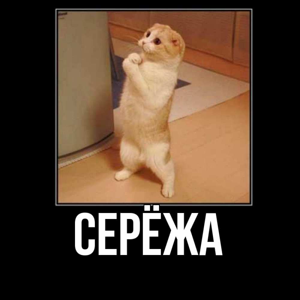 Картинка  с именем , Серёжа