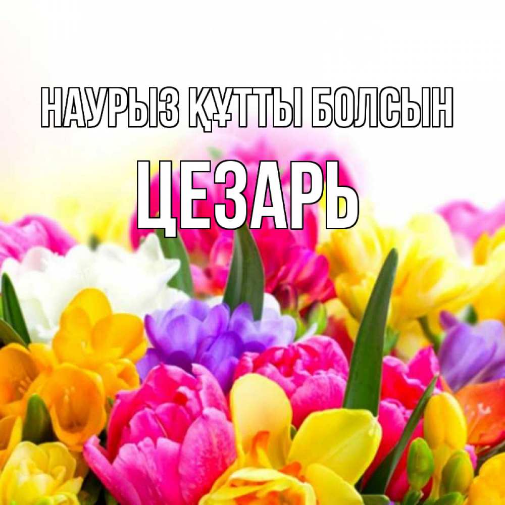 Открытка на каждый день с именем, Цезарь Наурыз құтты болсын тюльпаны Прикольная открытка с пожеланием онлайн скачать бесплатно 