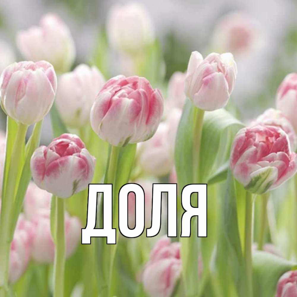 Открытка на каждый день с именем, Доля Главная цветы Прикольная открытка с пожеланием онлайн скачать бесплатно 