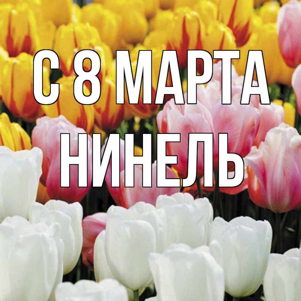 Открытка на каждый день с именем, Нинель С 8 марта разноцветные цветы Прикольная открытка с пожеланием онлайн скачать бесплатно 