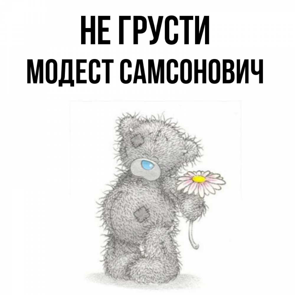 Картинка мишка не грусти