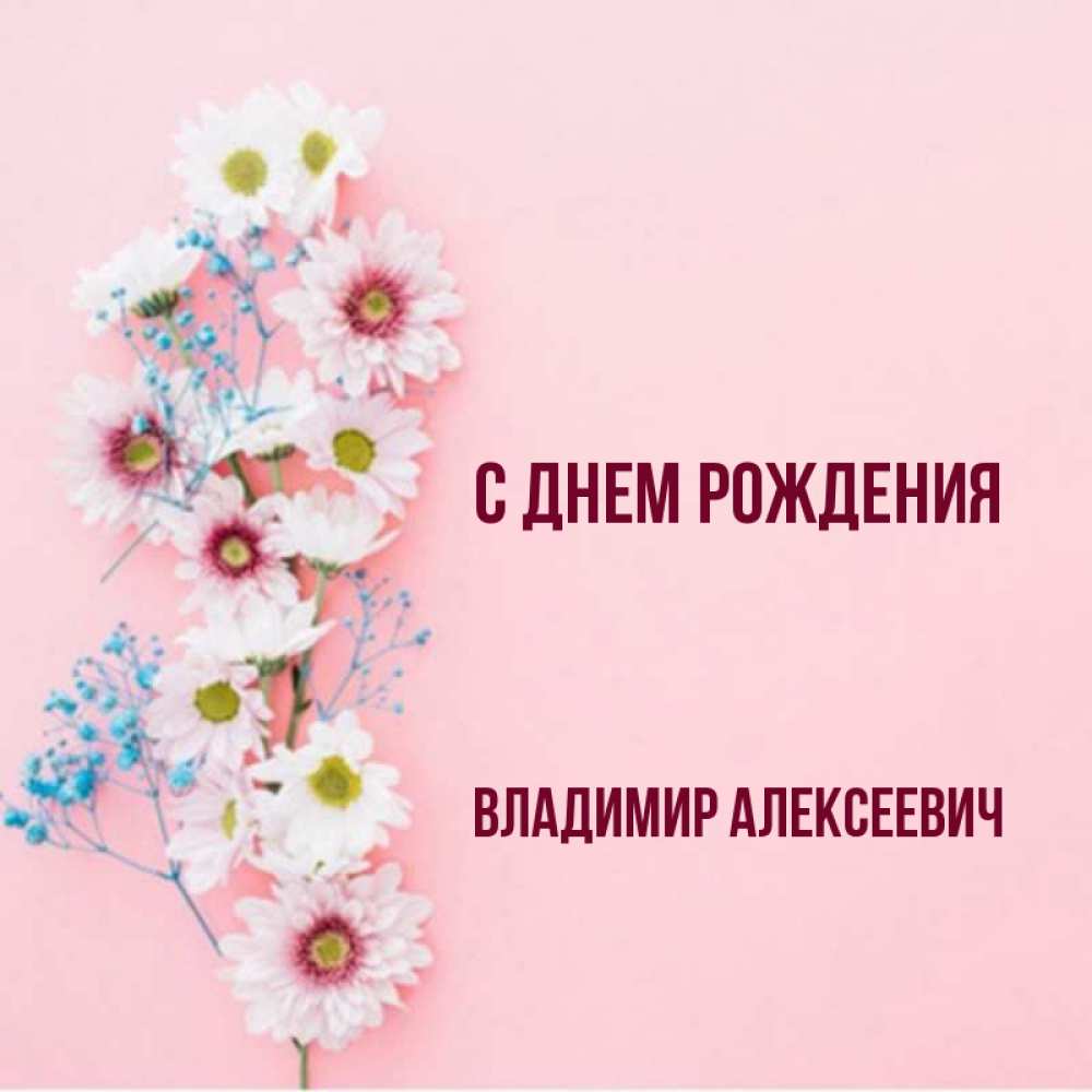 Открытка на каждый день с именем, Владимир-Алексеевич С днем рождения Родная моя с днем рождения тебя картинка с цветами белыми и голубыми Прикольная открытка с пожеланием онлайн скачать бесплатно 