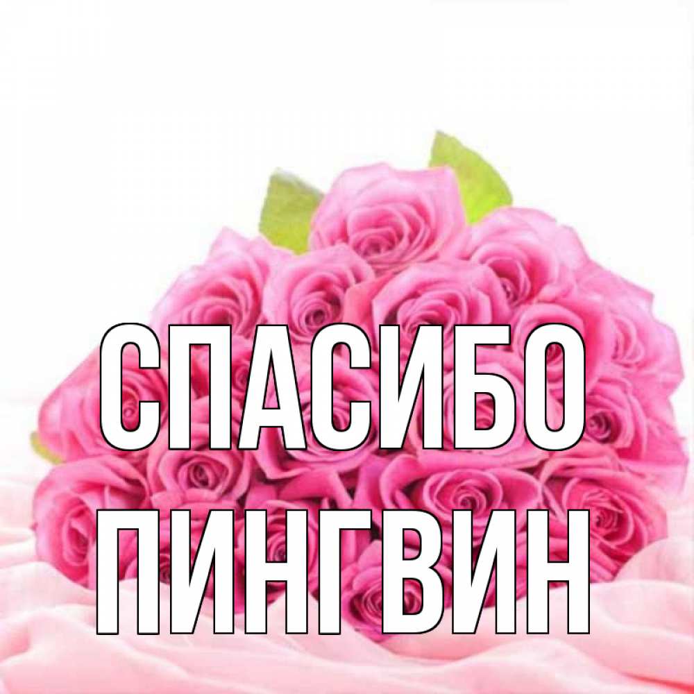 Открытка на каждый день с именем, пингвин Спасибо розовые розы с подписью Прикольная открытка с пожеланием онлайн скачать бесплатно 