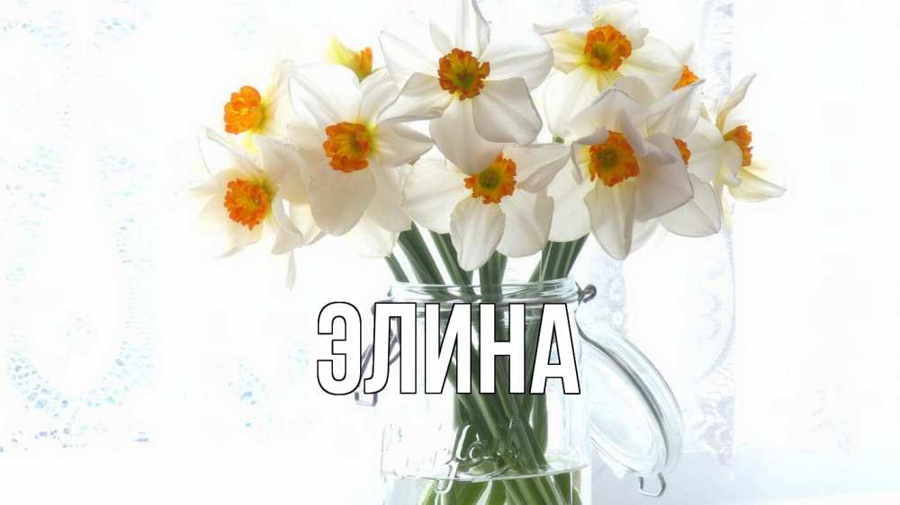 Открытка на каждый день с именем, Элина Главная с днем бухгалтера Прикольная открытка с пожеланием онлайн скачать бесплатно 