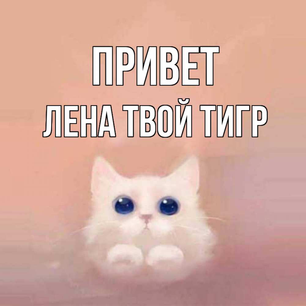 Лена привет картинки
