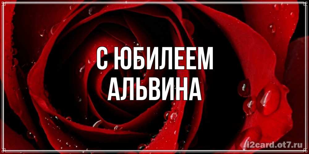 Открытка на каждый день с именем, Альвина С юбилеем крупная бордовая роза Прикольная открытка с пожеланием онлайн скачать бесплатно 