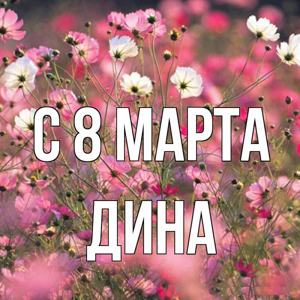 Открытка на каждый день с именем, Дина С 8 МАРТА красиво 1 Прикольная открытка с пожеланием онлайн скачать бесплатно 