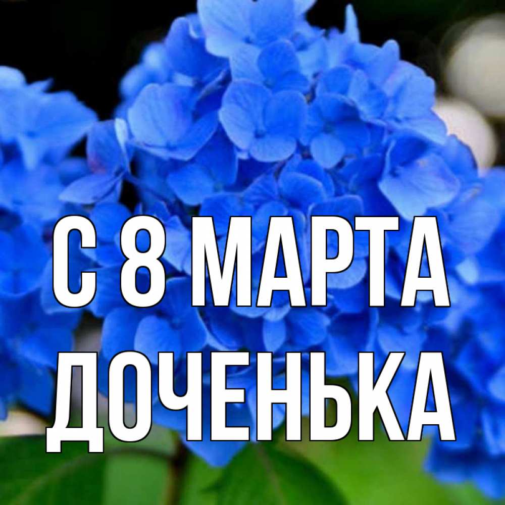 Открытка на каждый день с именем, Доченька С 8 марта синие цветы Прикольная открытка с пожеланием онлайн скачать бесплатно 