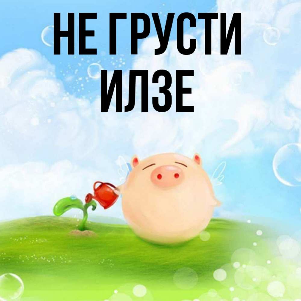 Открытка на каждый день с именем, Илзе Не грусти поливает цветок порося Прикольная открытка с пожеланием онлайн скачать бесплатно 