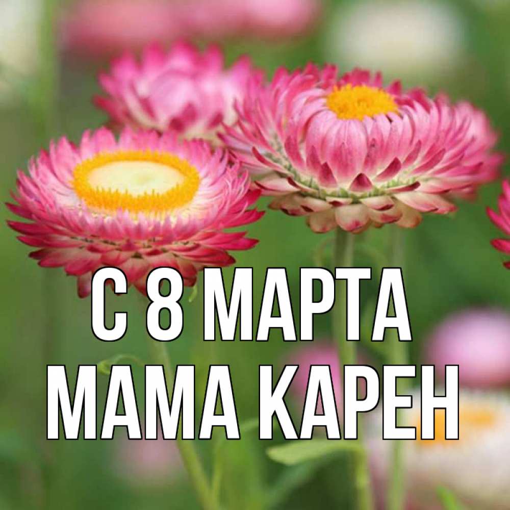 Открытка на каждый день с именем, Мама-Карен С 8 МАРТА подарок на международный женский день Прикольная открытка с пожеланием онлайн скачать бесплатно 
