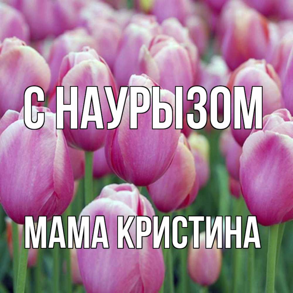 Открытка на каждый день с именем, Мама-Кристина С наурызом праздник весны наурыз 69 Прикольная открытка с пожеланием онлайн скачать бесплатно 