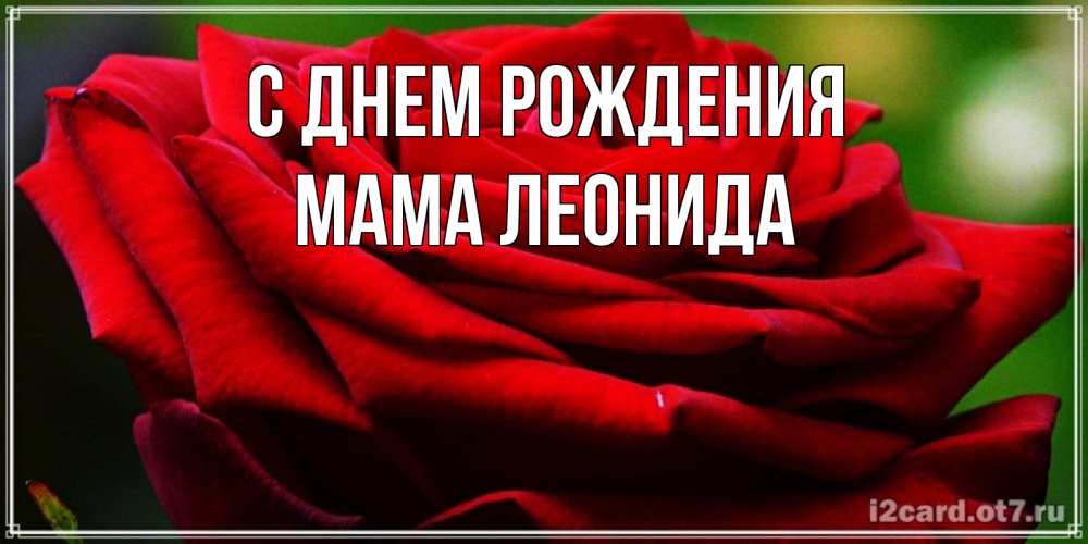 Открытка на каждый день с именем, Мама-Леонида С днем рождения розочка очень красивая Прикольная открытка с пожеланием онлайн скачать бесплатно 