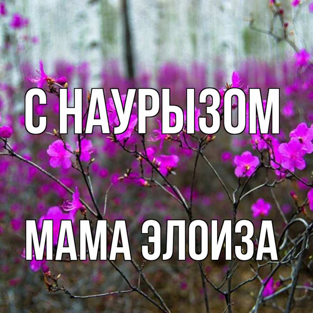 Открытка на каждый день с именем, Мама-Элоиза С наурызом дикие цветы Прикольная открытка с пожеланием онлайн скачать бесплатно 