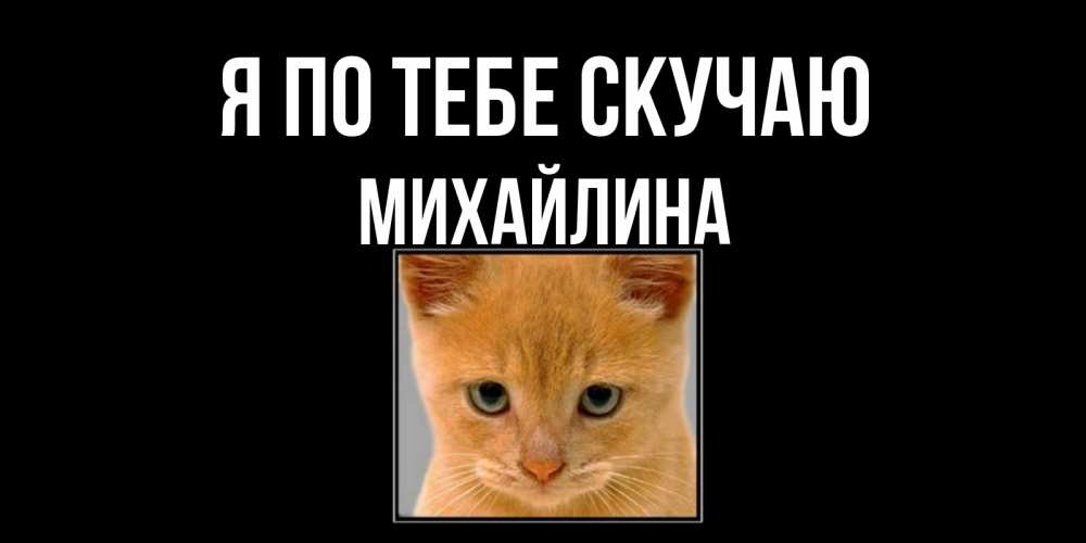 Открытка на каждый день с именем, Михайлина Я по тебе скучаю открытки рыжий котенок скучает по тебе Прикольная открытка с пожеланием онлайн скачать бесплатно 