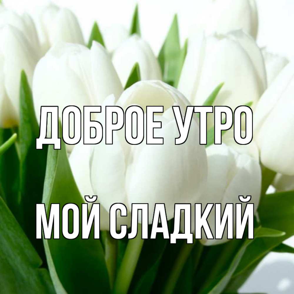 Открытка на каждый день с именем, Мой-сладкий Доброе утро открытки на каждый день по именам Прикольная открытка с пожеланием онлайн скачать бесплатно 