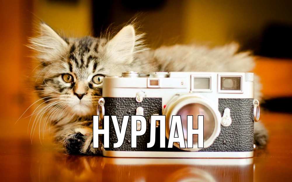Открытка на каждый день с именем, Нурлан Главная с днем фотографа Прикольная открытка с пожеланием онлайн скачать бесплатно 
