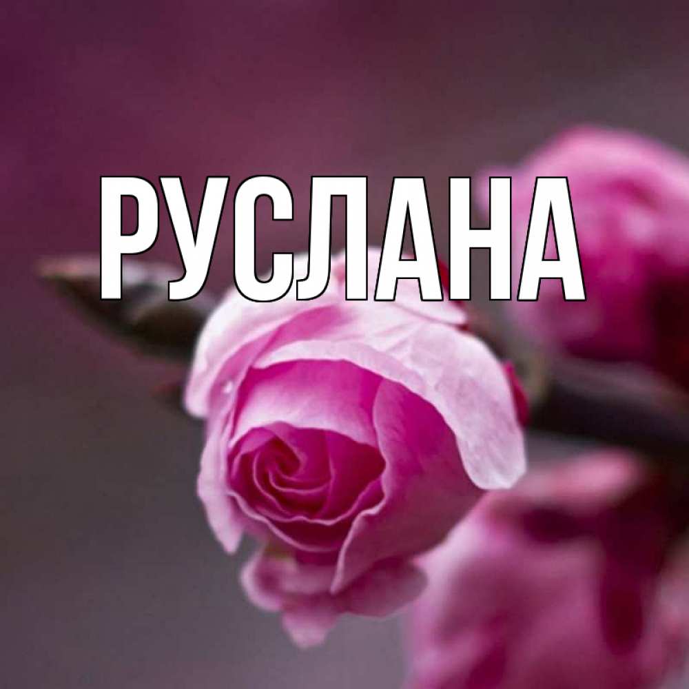 Открытка на каждый день с именем, Руслана Главная весна Прикольная открытка с пожеланием онлайн скачать бесплатно 
