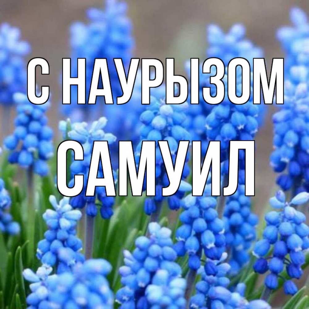 Открытка на каждый день с именем, Самуил С наурызом Поздравительная открытка для женщин с цветами на праздничную дату Прикольная открытка с пожеланием онлайн скачать бесплатно 