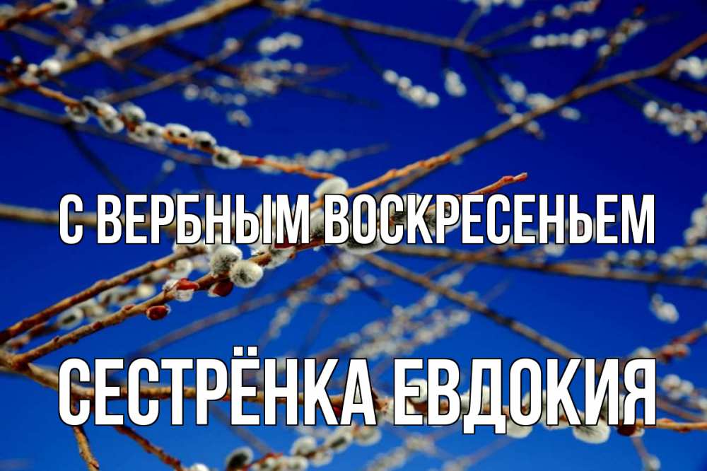 Открытка на каждый день с именем, Сестрёнка-Евдокия С вербным воскресеньем верба Прикольная открытка с пожеланием онлайн скачать бесплатно 