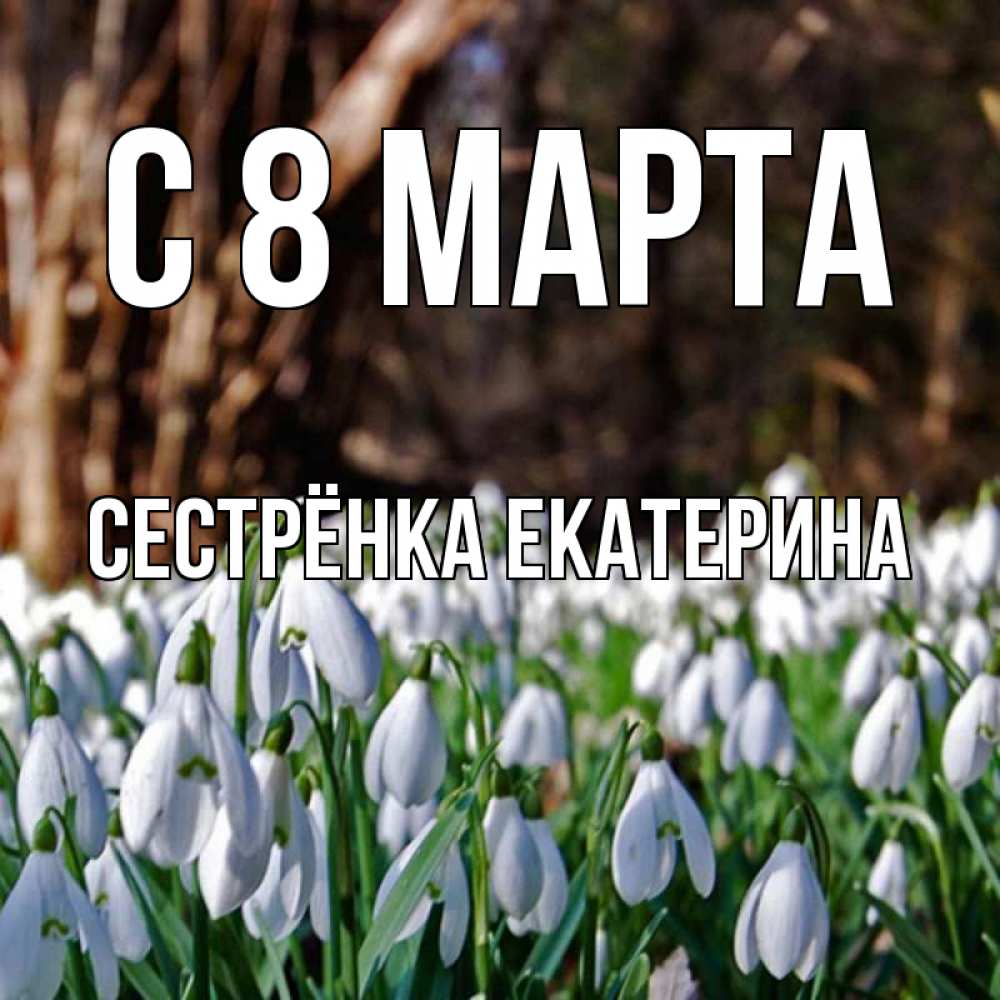 Открытка на каждый день с именем, Сестрёнка-Екатерина С 8 МАРТА с подснежниками 1 Прикольная открытка с пожеланием онлайн скачать бесплатно 