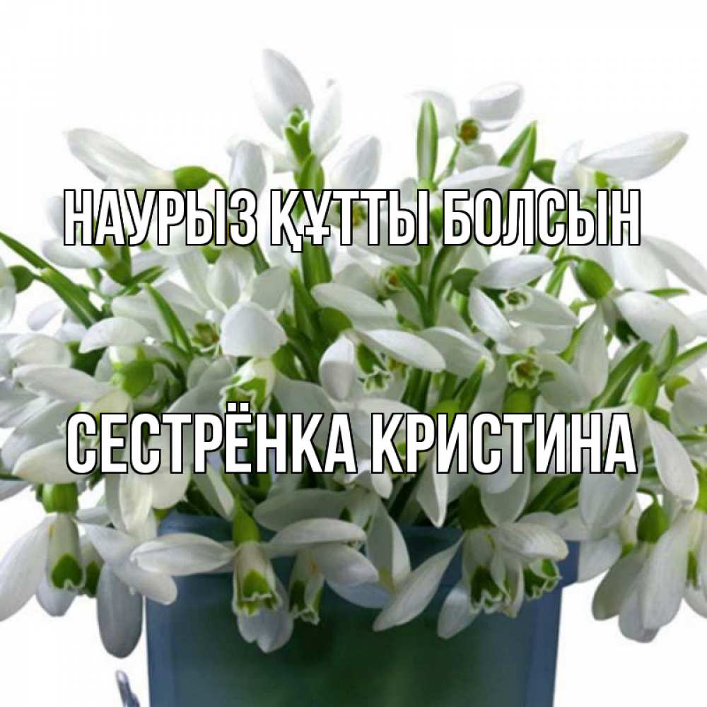 Открытка на каждый день с именем, Сестрёнка-Кристина Наурыз құтты болсын цветы к наурызу Прикольная открытка с пожеланием онлайн скачать бесплатно 