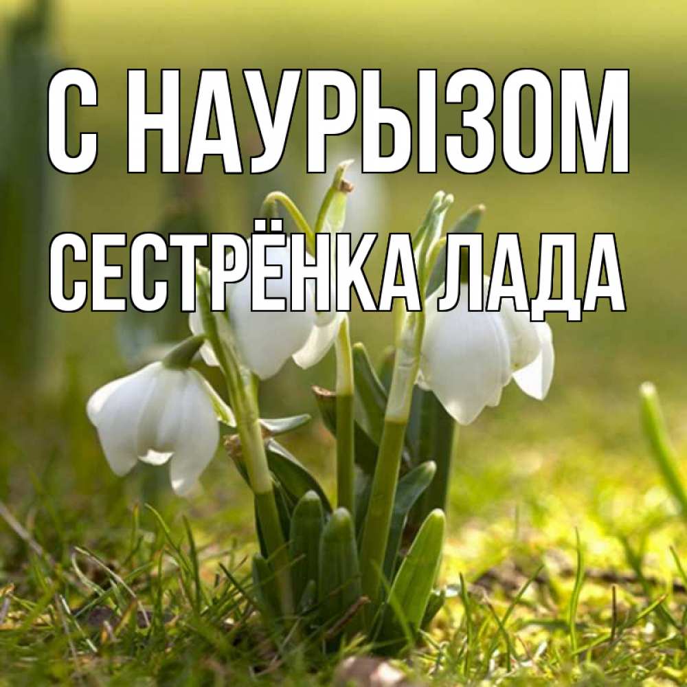 Открытка на каждый день с именем, Сестрёнка-Лада С наурызом ранние цветы 2 Прикольная открытка с пожеланием онлайн скачать бесплатно 
