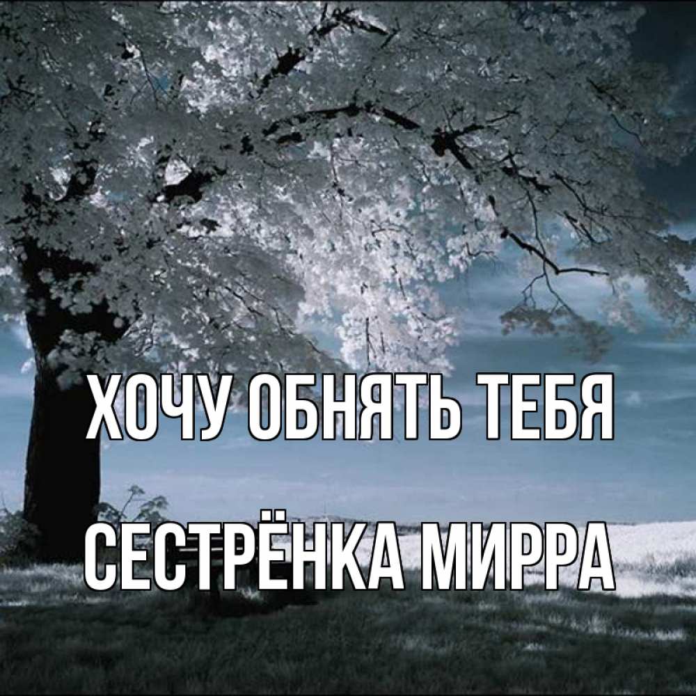 Открытка на каждый день с именем, Сестрёнка-Мирра Хочу обнять тебя дерево Прикольная открытка с пожеланием онлайн скачать бесплатно 