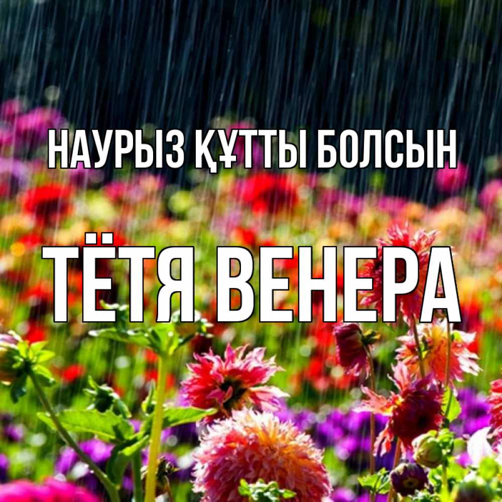 Открытка на каждый день с именем, Тётя-Венера Наурыз құтты болсын цветы под дождиком к наурызу Прикольная открытка с пожеланием онлайн скачать бесплатно 