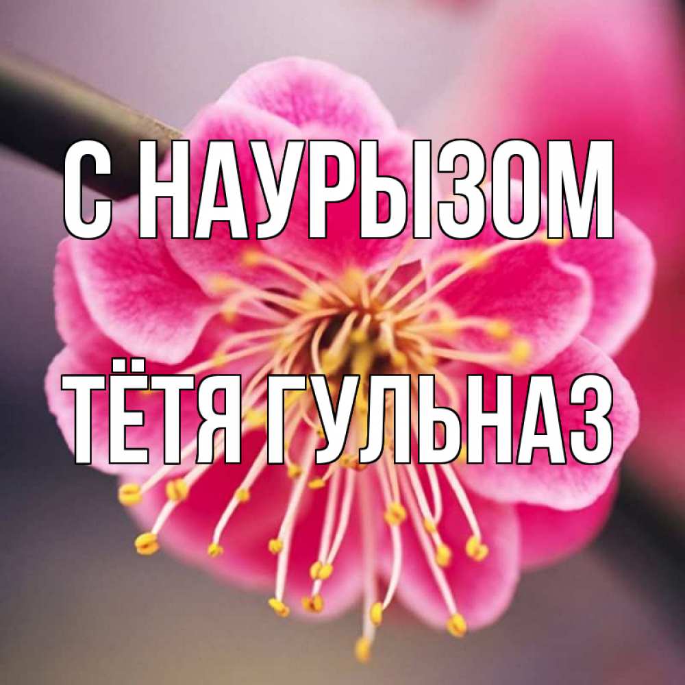 Открытка на каждый день с именем, Тётя-Гульназ С наурызом цветы Прикольная открытка с пожеланием онлайн скачать бесплатно 