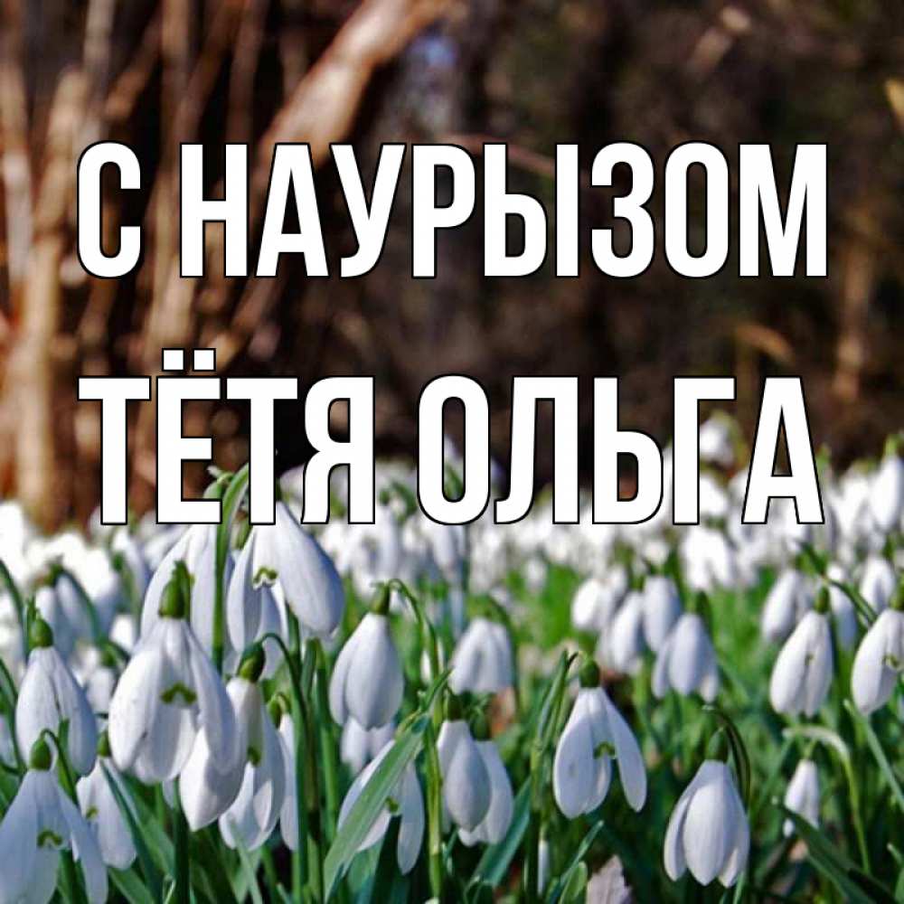 Открытка на каждый день с именем, Тётя-Ольга С наурызом с подснежниками 1 Прикольная открытка с пожеланием онлайн скачать бесплатно 