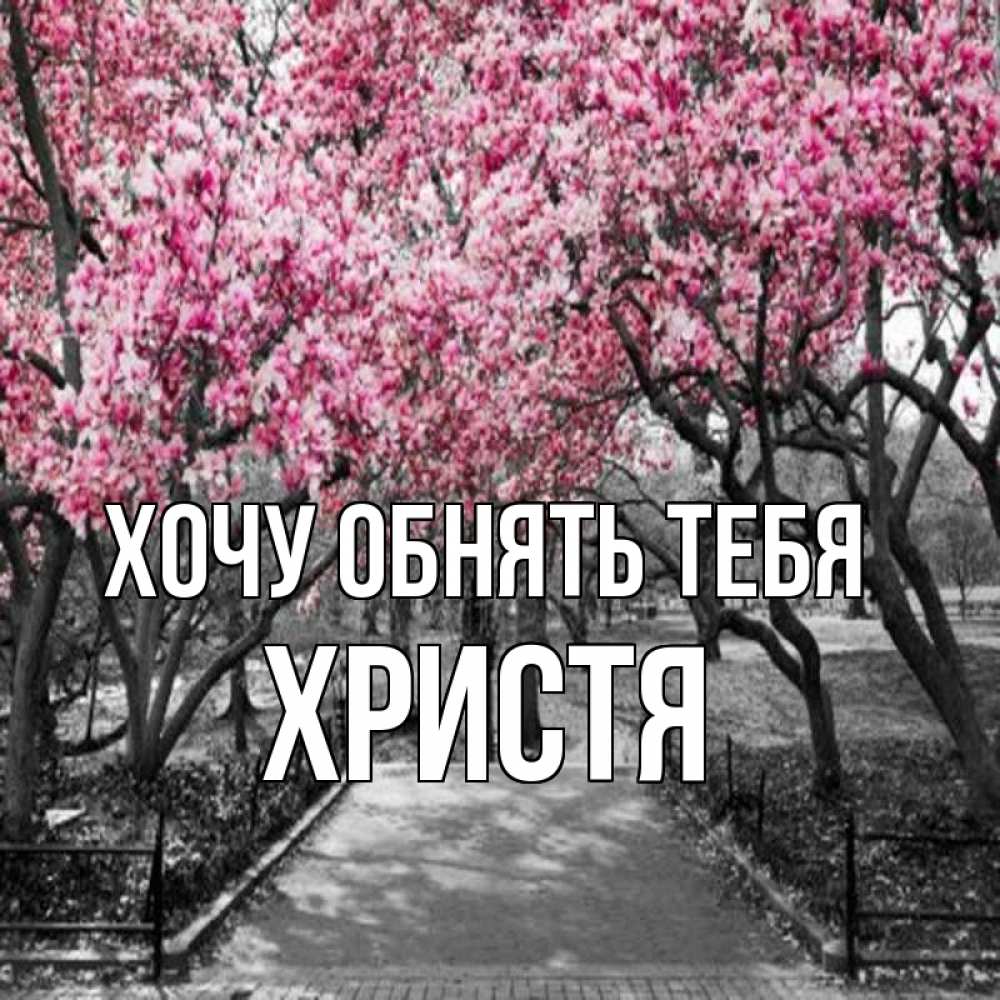 Открытка на каждый день с именем, Христя Хочу обнять тебя обработанное фото Прикольная открытка с пожеланием онлайн скачать бесплатно 