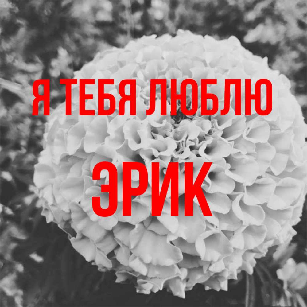 Открытка на каждый день с именем, Эрик Я тебя люблю подпись Прикольная открытка с пожеланием онлайн скачать бесплатно 