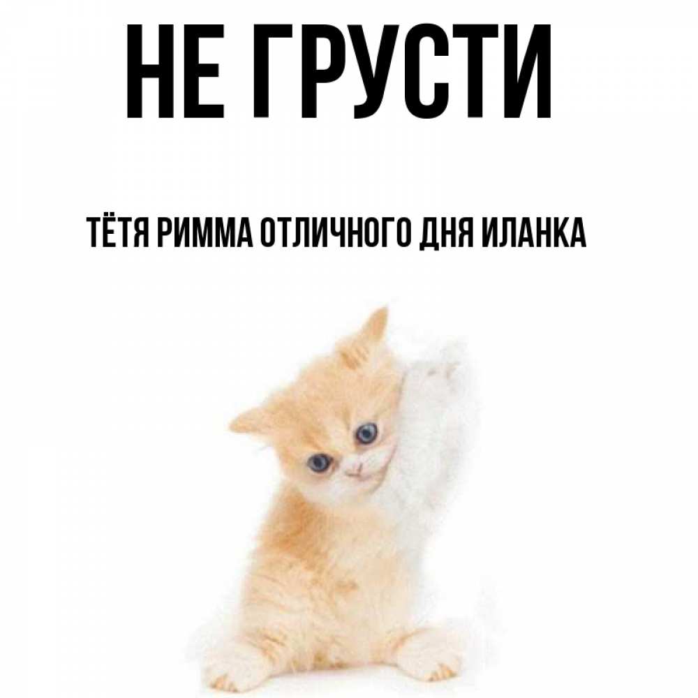 Картинки с днем рождения не грусти, открытки садик картинки
