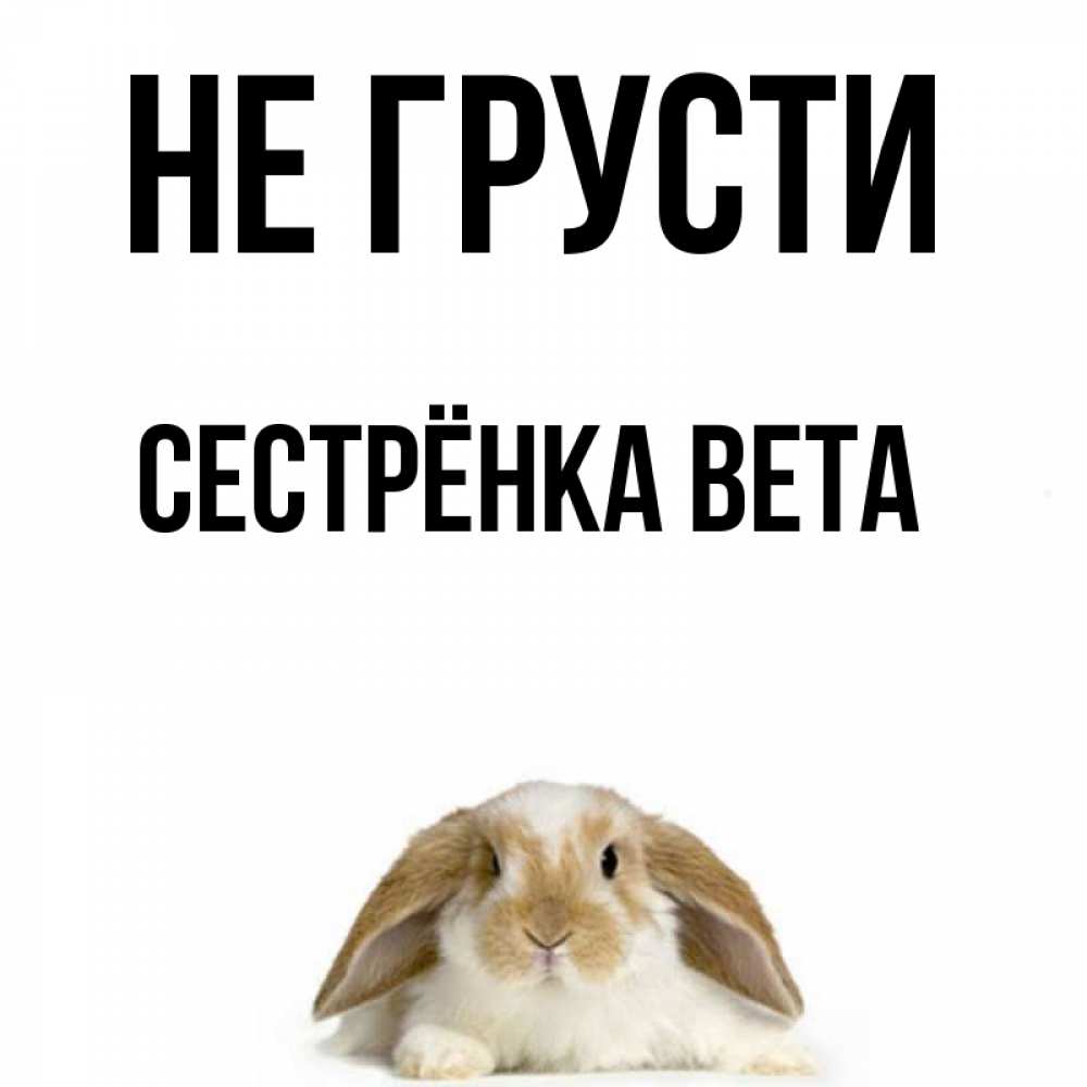 Открытка на каждый день с именем, Сестрёнка-Вета Не грусти коричнево белый заяц с большими ушками Прикольная открытка с пожеланием онлайн скачать бесплатно 