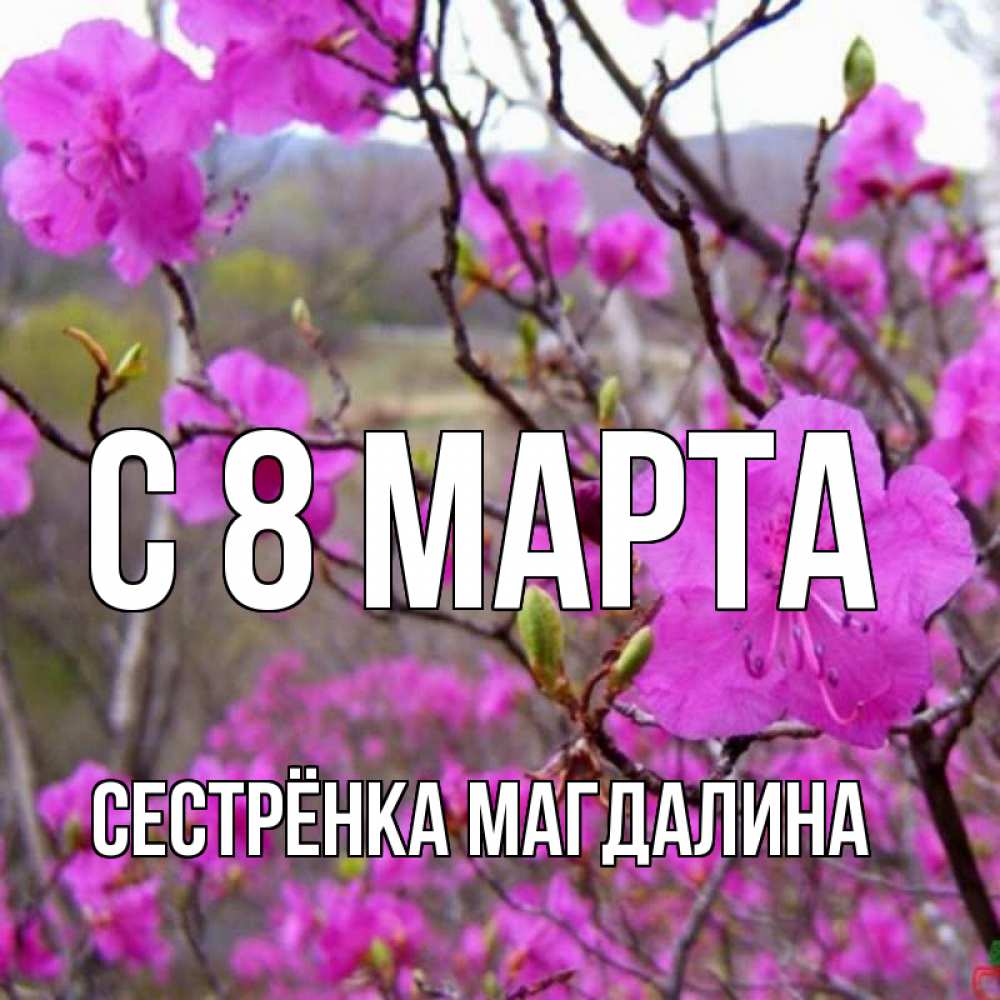 Открытка на каждый день с именем, Сестрёнка-Магдалина С 8 марта международный женский день Прикольная открытка с пожеланием онлайн скачать бесплатно 