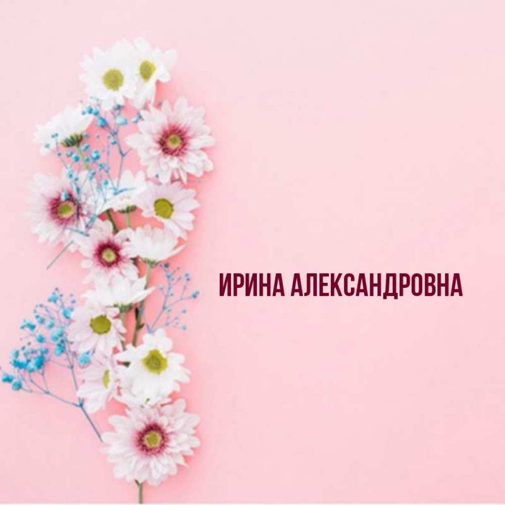 День александровна