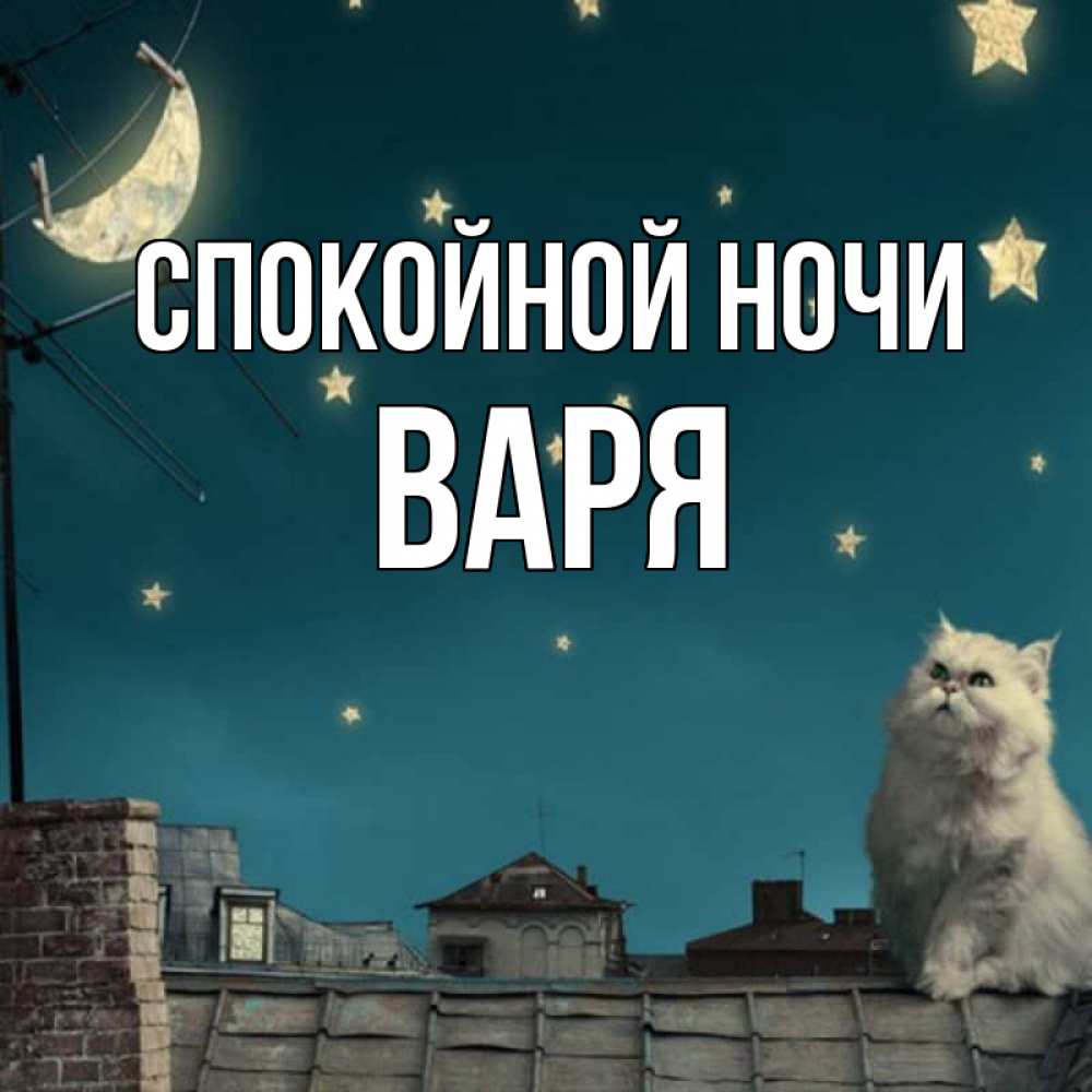 Открытка на каждый день с именем, Варя Спокойной ночи белый кот сидит на крыше Прикольная открытка с пожеланием онлайн скачать бесплатно 