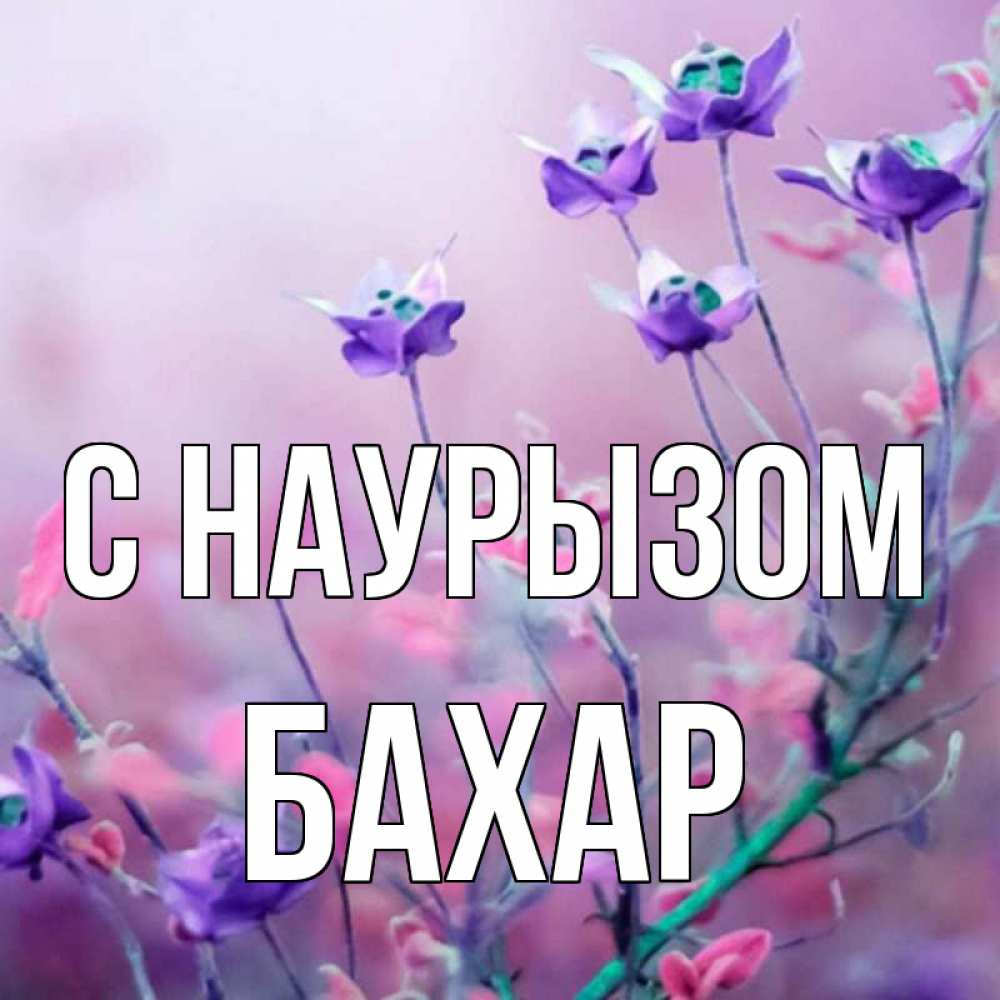 Картинка С наурызом, Бахар