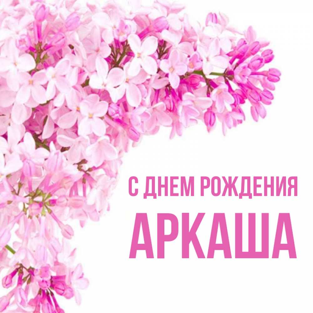 Открытка на каждый день с именем, Аркаша С днем рождения Сирень на белом фоне Прикольная открытка с пожеланием онлайн скачать бесплатно 