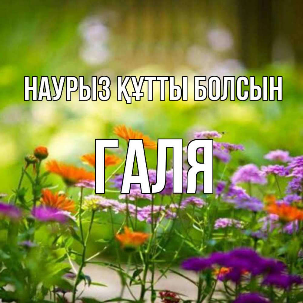 Картинка Наурыз құтты болсын, Галя