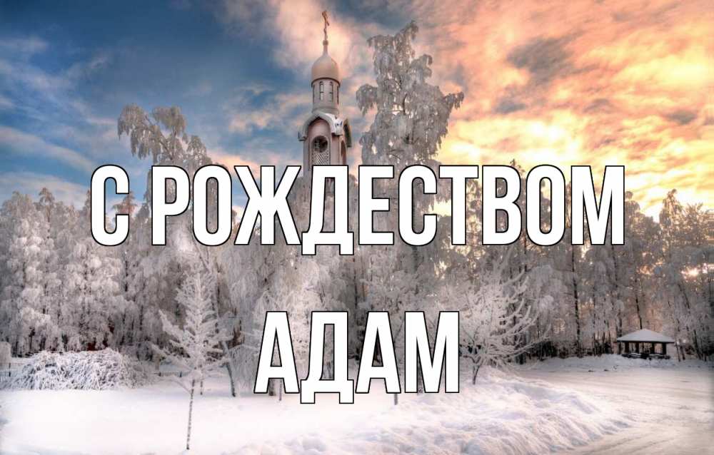 Открытка на каждый день с именем, Адам С рождеством лес, зима 2 Прикольная открытка с пожеланием онлайн скачать бесплатно 