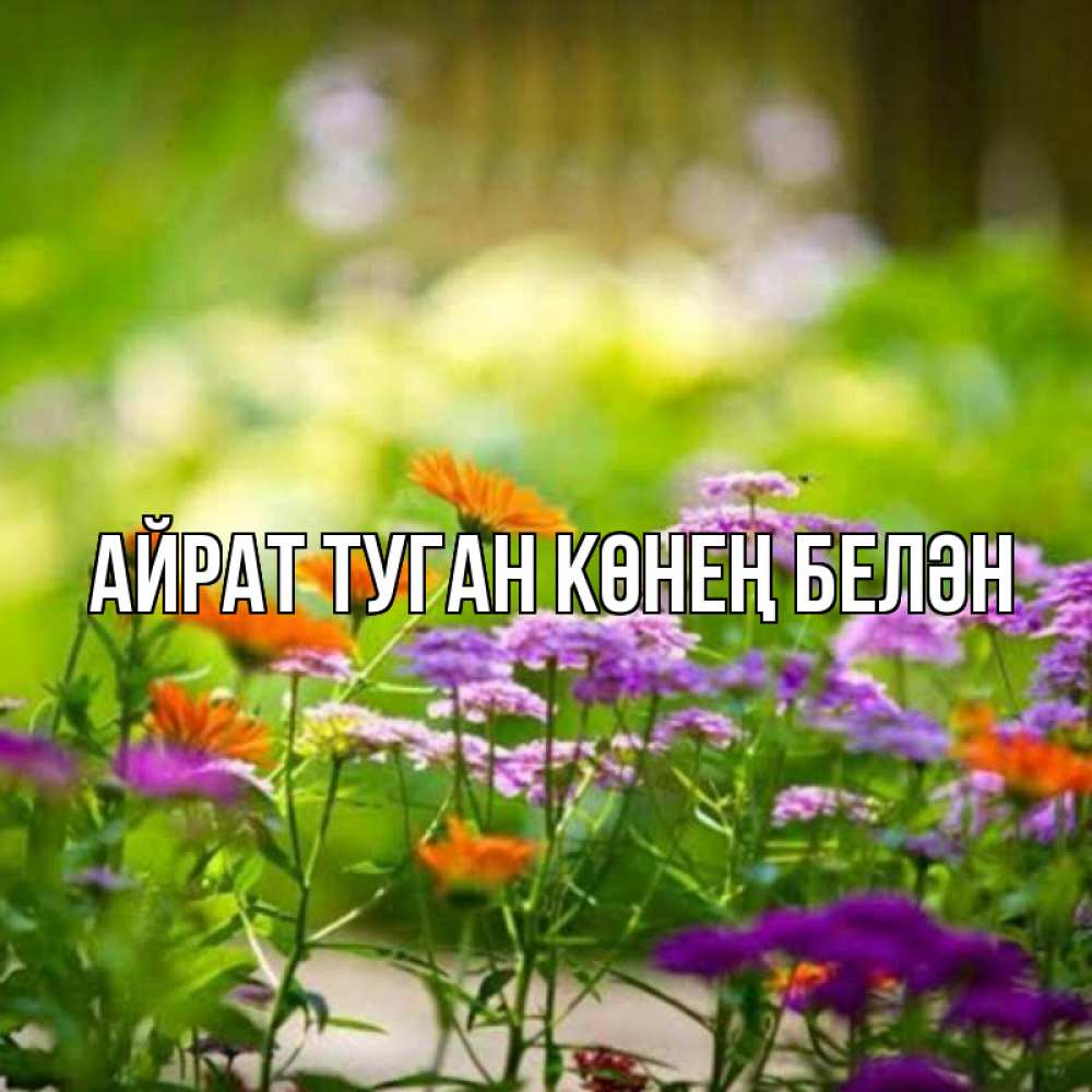 Открытка на каждый день с именем, Айрат-туган-көнең-белән Главная цветы Прикольная открытка с пожеланием онлайн скачать бесплатно 
