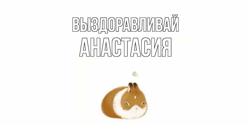 Открытка на каждый день с именем, Анастасия Выздоравливай морская свинка на открытке с пожеланиями не болеть Прикольная открытка с пожеланием онлайн скачать бесплатно 