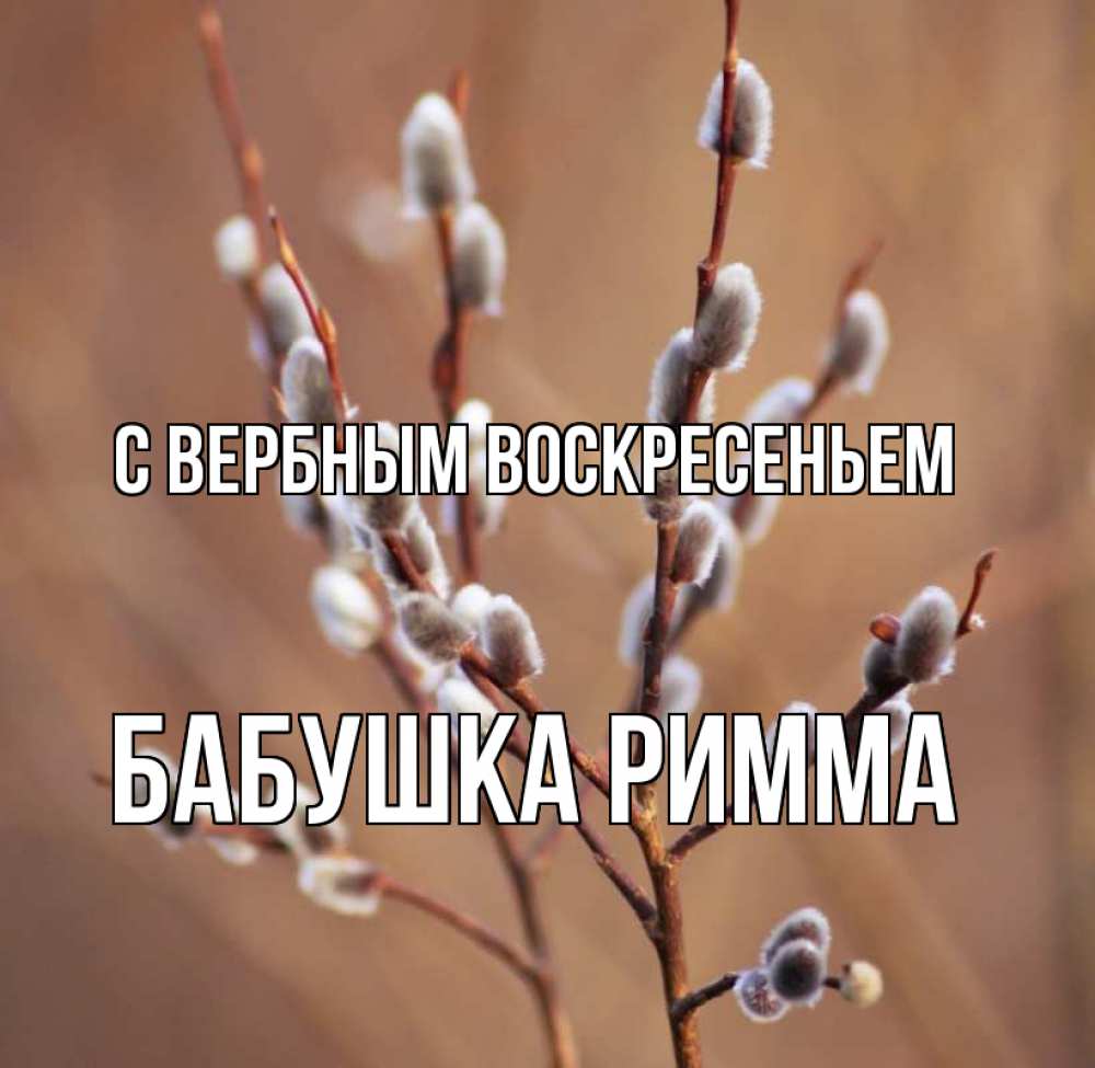 Открытка на каждый день с именем, Бабушка-Римма С вербным воскресеньем верба Прикольная открытка с пожеланием онлайн скачать бесплатно 