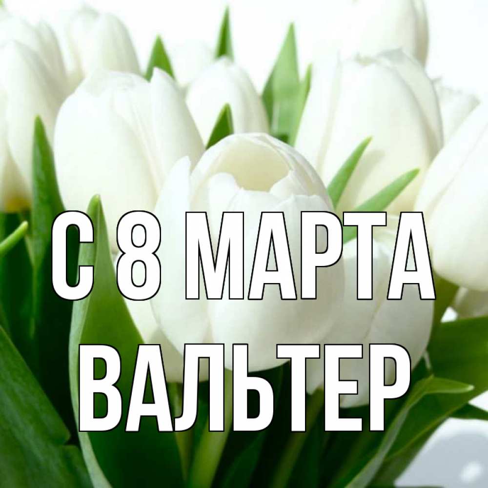 Открытка на каждый день с именем, Вальтер С 8 МАРТА цветы Прикольная открытка с пожеланием онлайн скачать бесплатно 