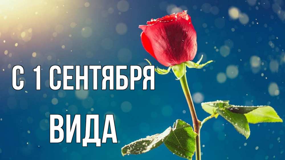 Открытка на каждый день с именем, Вида С 1 сентября с днем знаний Прикольная открытка с пожеланием онлайн скачать бесплатно 