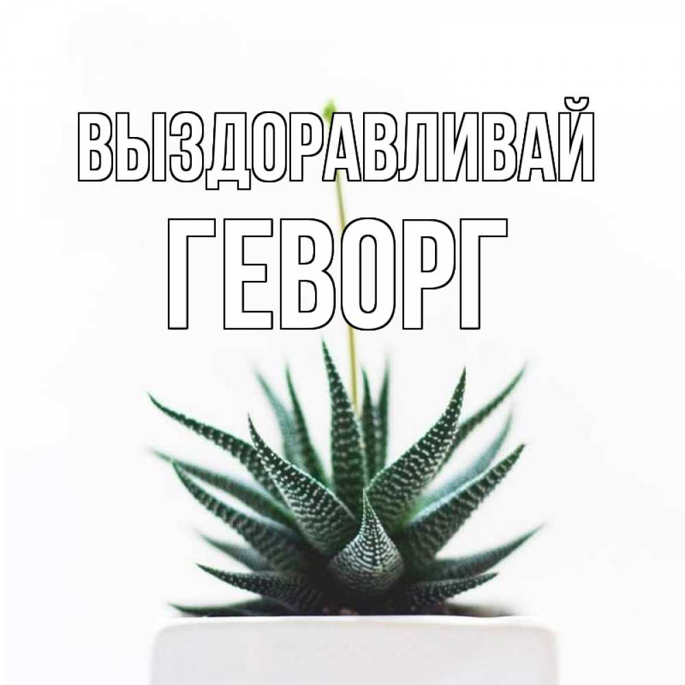 Открытка на каждый день с именем, Геворг Выздоравливай короче это непонятная колючка Прикольная открытка с пожеланием онлайн скачать бесплатно 