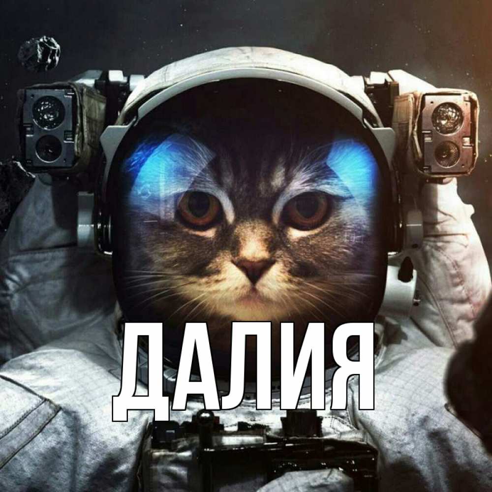 Открытка на каждый день с именем, Далия Главная желает удачно добраться Прикольная открытка с пожеланием онлайн скачать бесплатно 