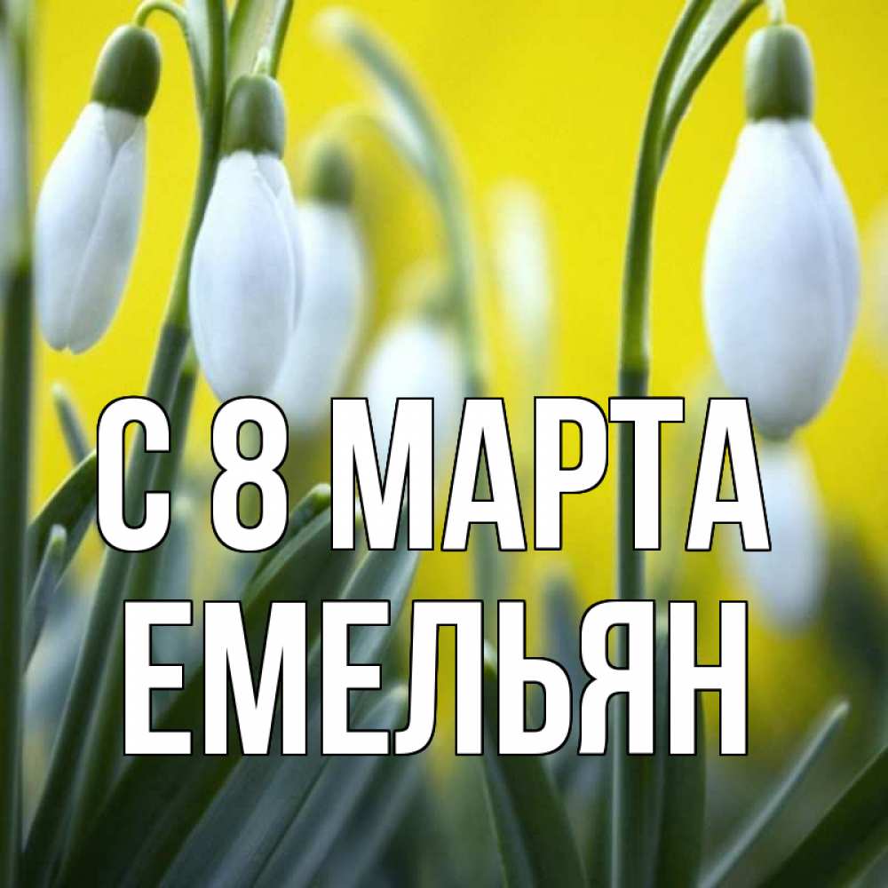 Открытка на каждый день с именем, Емельян С 8 марта весенние цветы Прикольная открытка с пожеланием онлайн скачать бесплатно 