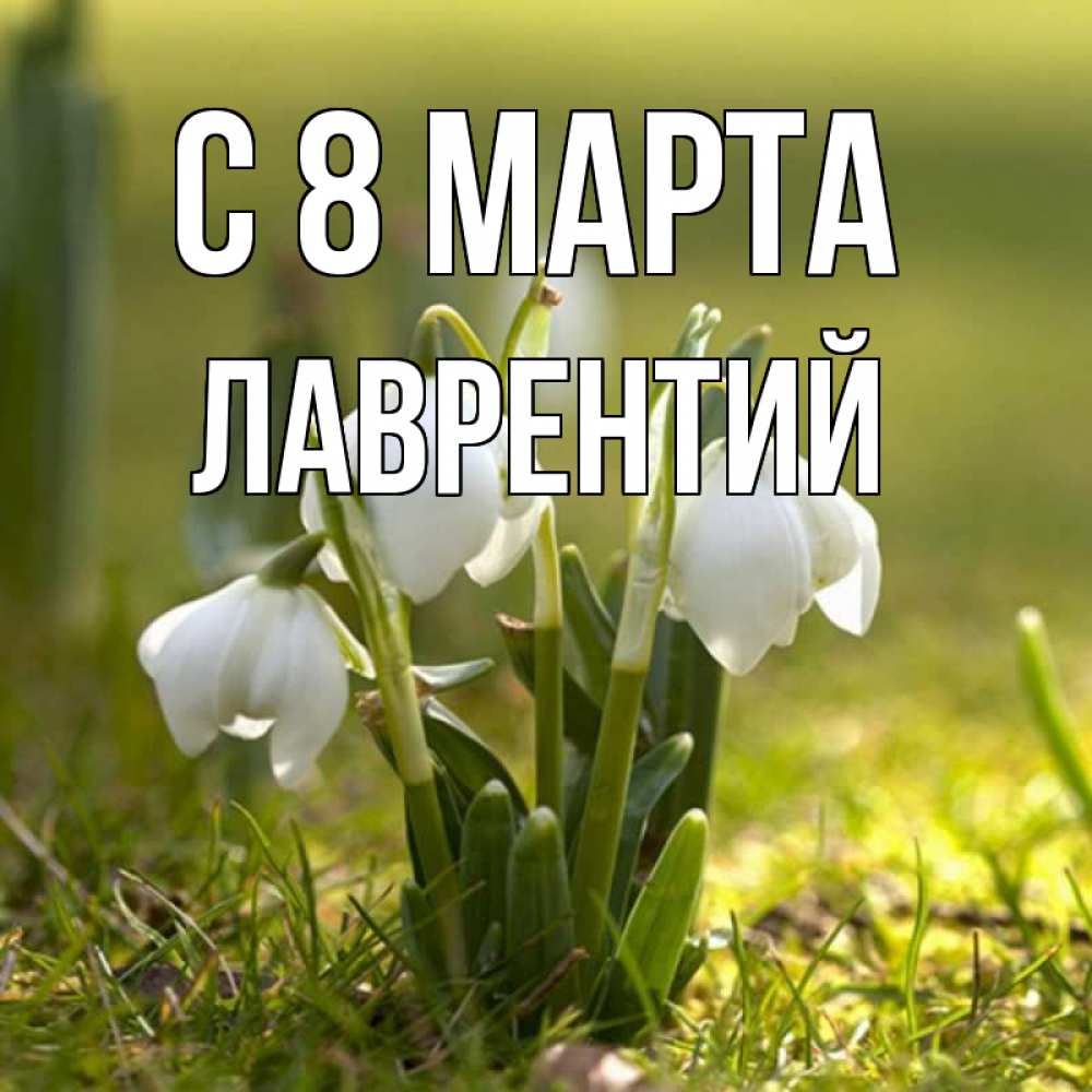 Открытка на каждый день с именем, Лаврентий С 8 МАРТА ранние цветы 2 Прикольная открытка с пожеланием онлайн скачать бесплатно 